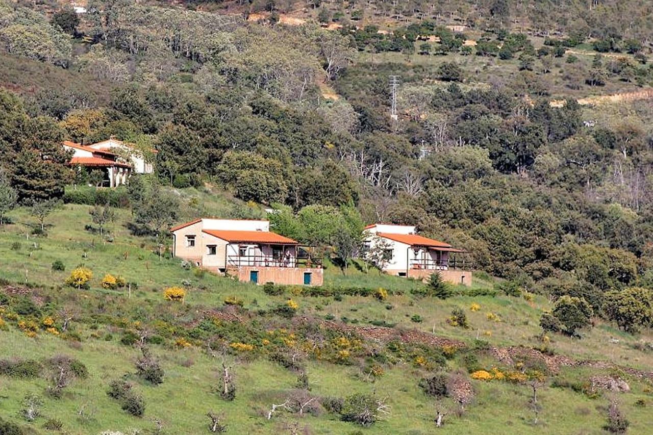 Cielo Abierto Apartman Berzocana Kültér fotó